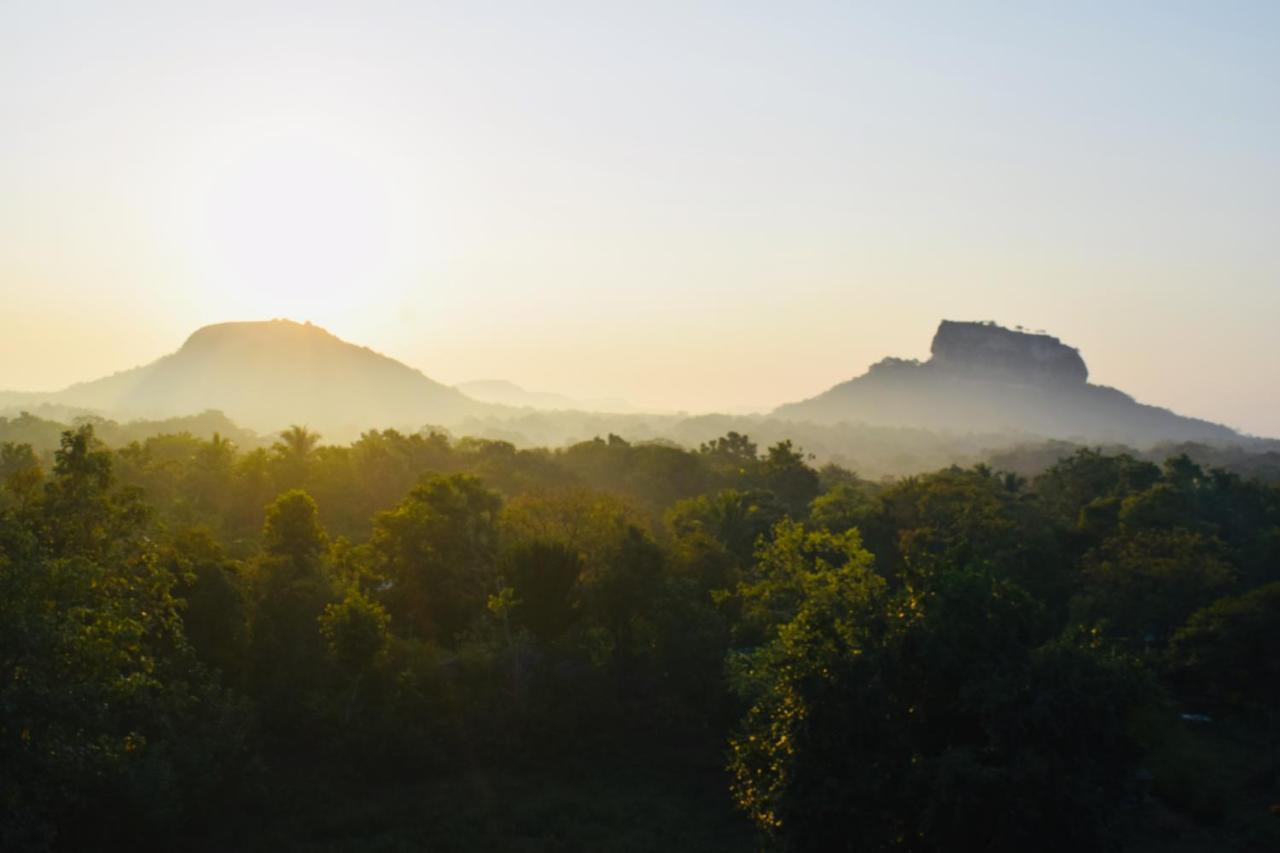 Green Hut Nature Resort Сигирия Экстерьер фото