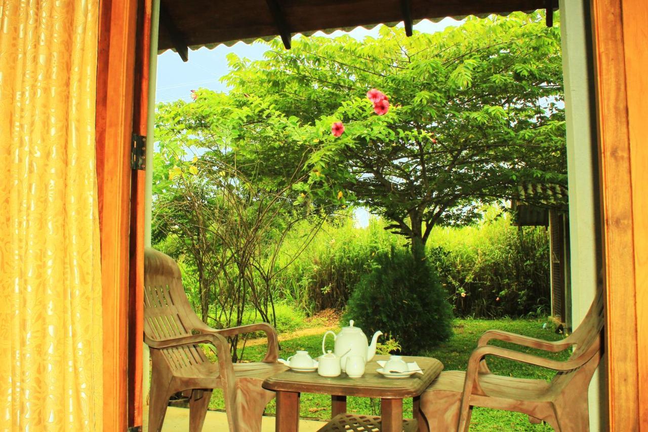 Green Hut Nature Resort Сигирия Экстерьер фото