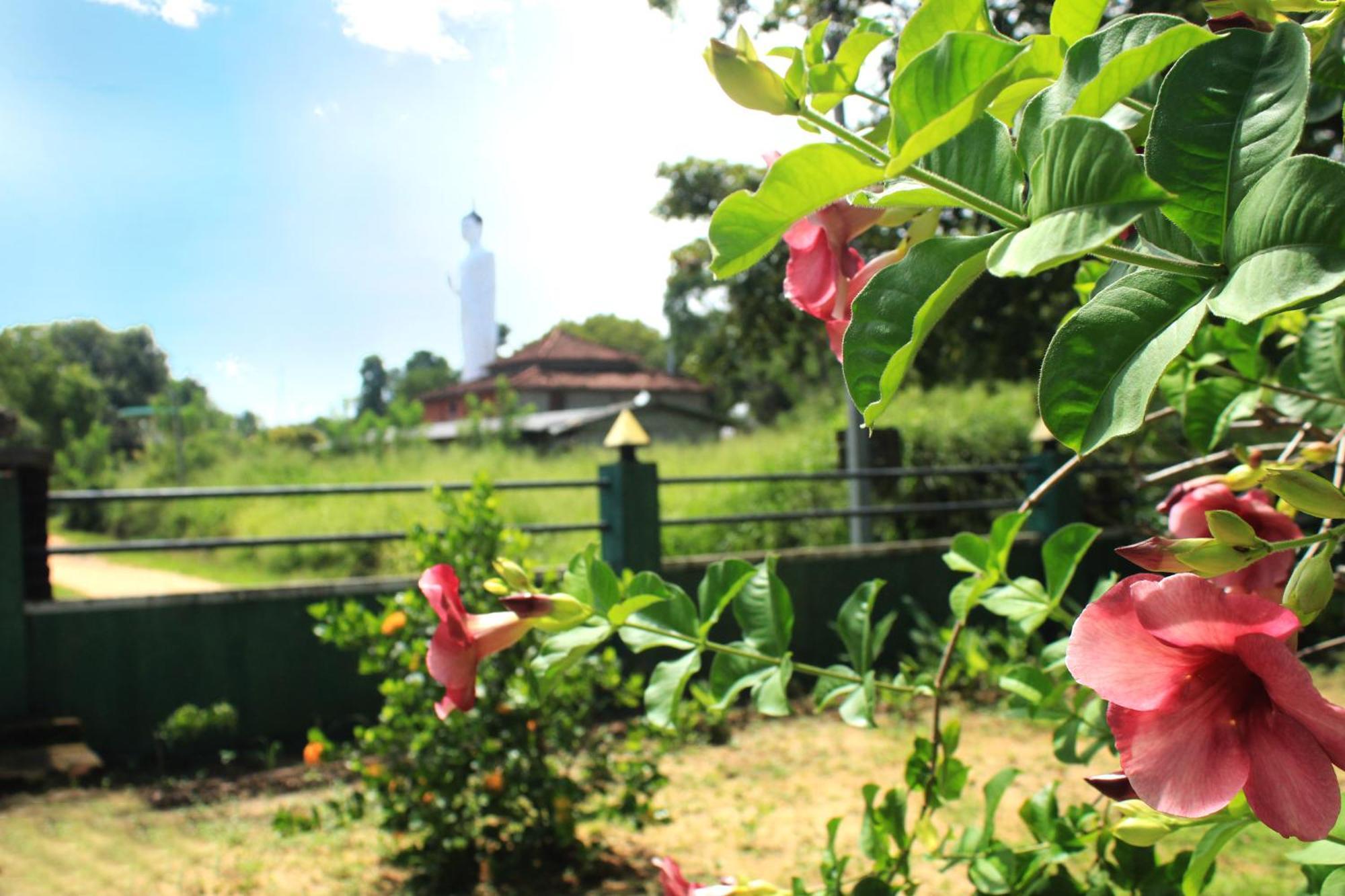 Green Hut Nature Resort Сигирия Экстерьер фото