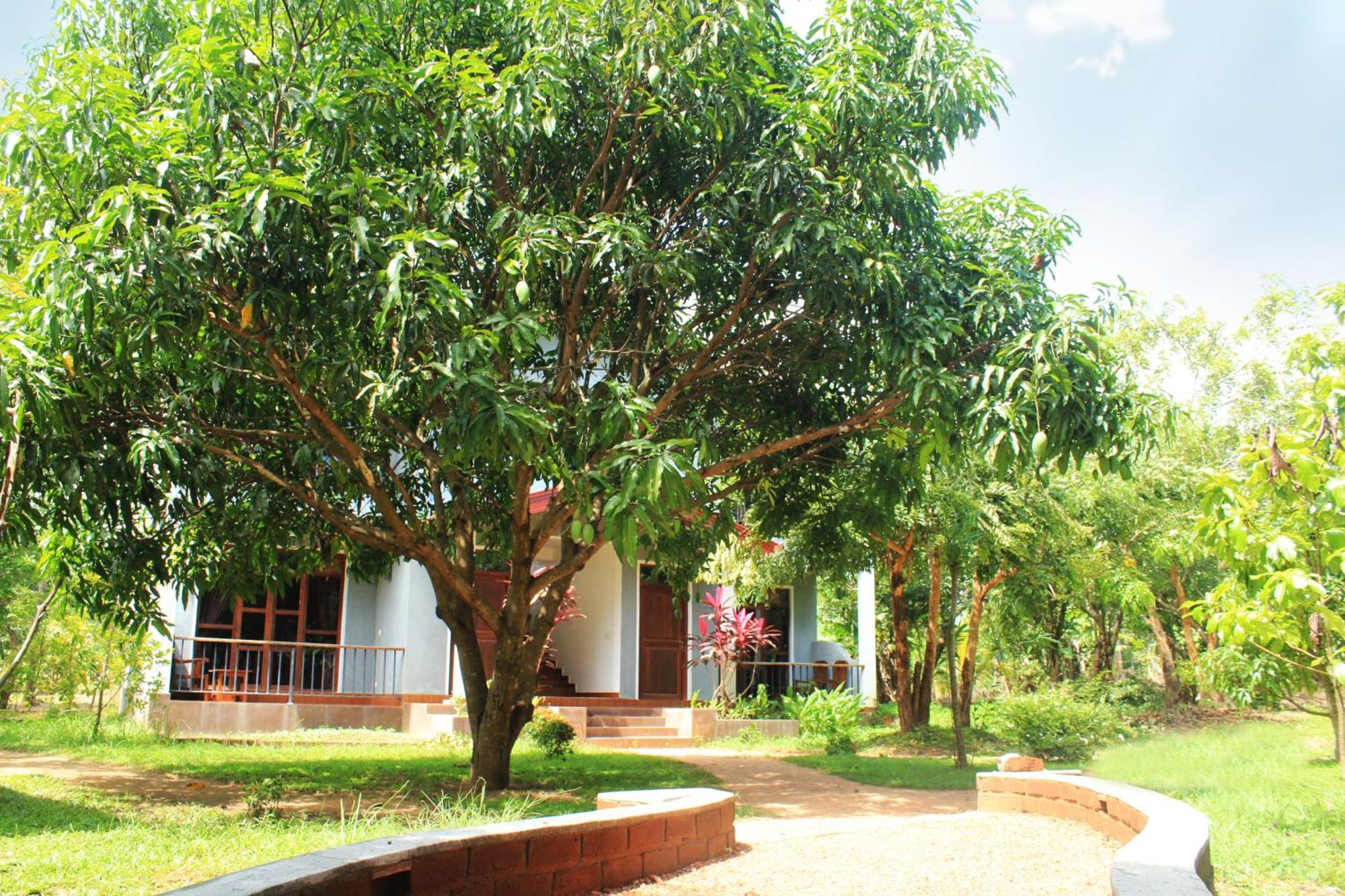 Green Hut Nature Resort Сигирия Экстерьер фото